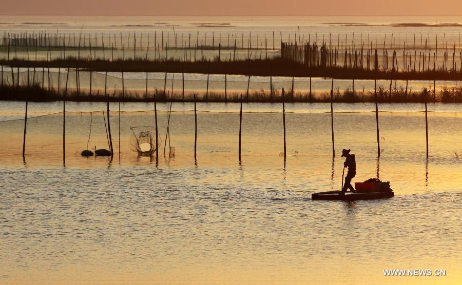 Days of fisherman's life