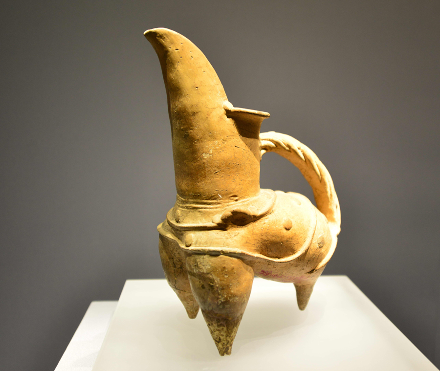 Shandong celebrates International Museum Day