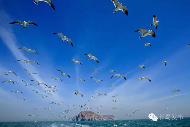 Changdao Island wins global culture tourism destination award